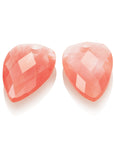Oorbelhangers van sparkling jewels om aan de sieraden van sparkling jewels te hangen